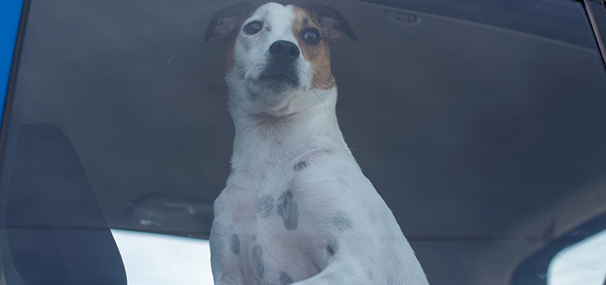 Car Lockout Solutions in Gridley, California